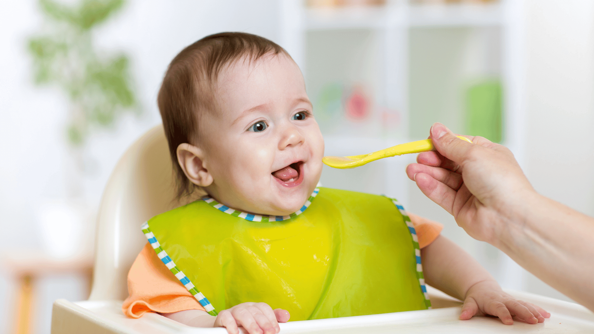 a baby sitting in high chair starting solids being spoonfed